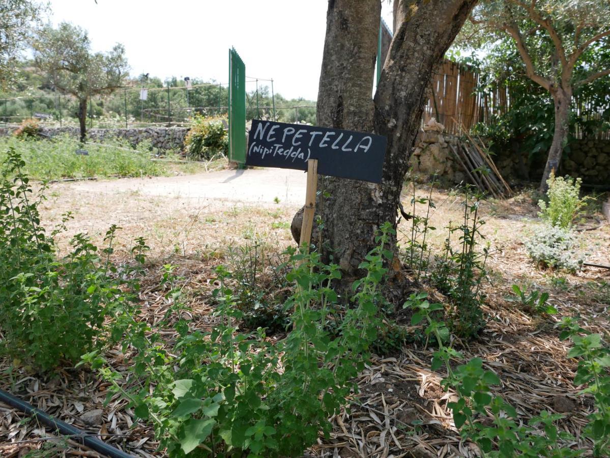 Pantalica Ranch Agriturismo Siciliano Villa Sortino Exterior photo